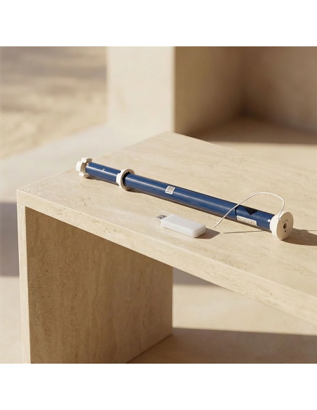 Motore + Wifi Bridge per tenda a rullo - Automatizza la tua tenda con la voce