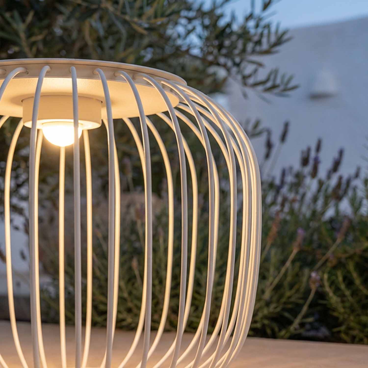 LED CREE professionale